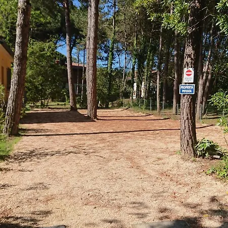 Patrizia Lignano Sabbiadoro